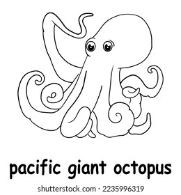 Giant pacific octopus drawing illustrations vectors