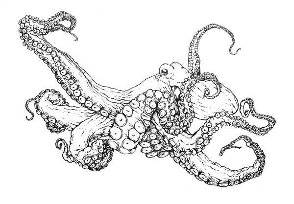 Mon octopus animal coloring page
