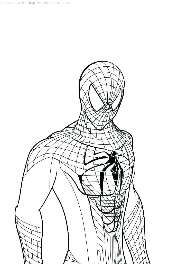 Spiderman loring pages only loring pages disegni da lorare disegni lori