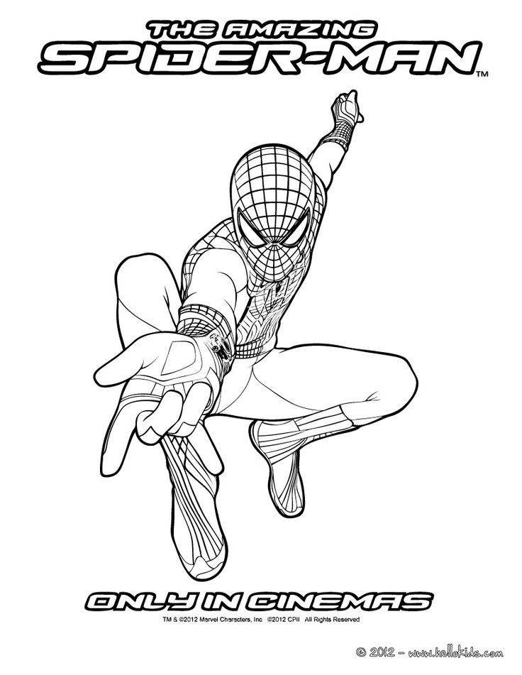 Spider