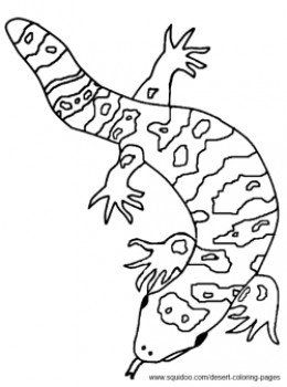 Desert coloring pages desert animals coloring gila monster desert animals