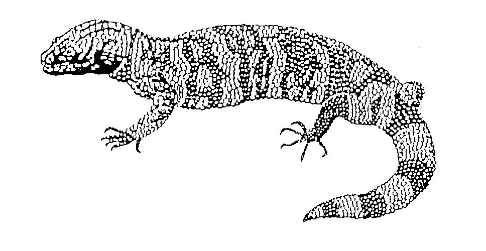 Gila monster lg â stamps galore