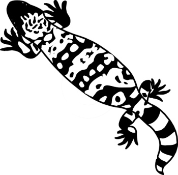Gila monster clipart
