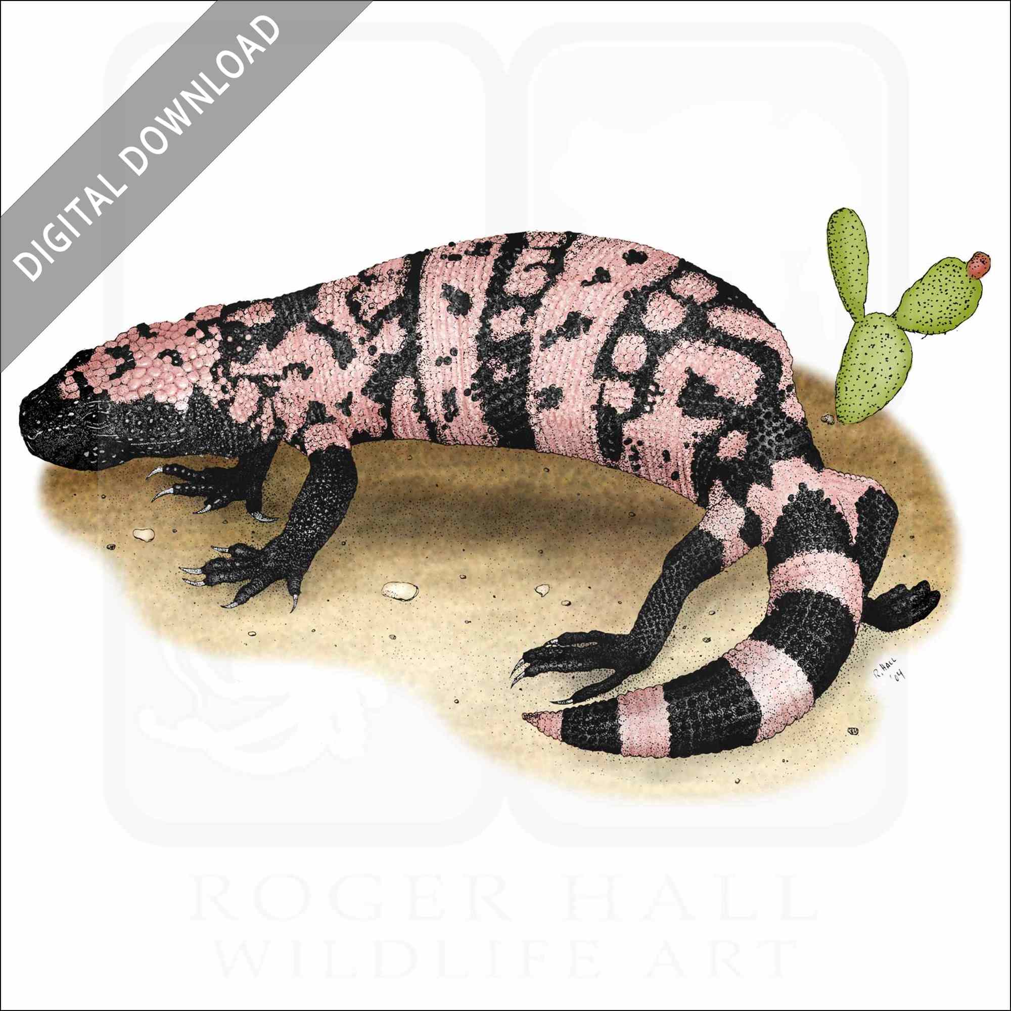 Stock art drawing of a gila monster
