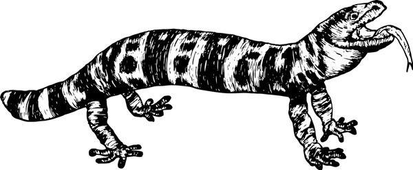 Cartoon gila monster royalty