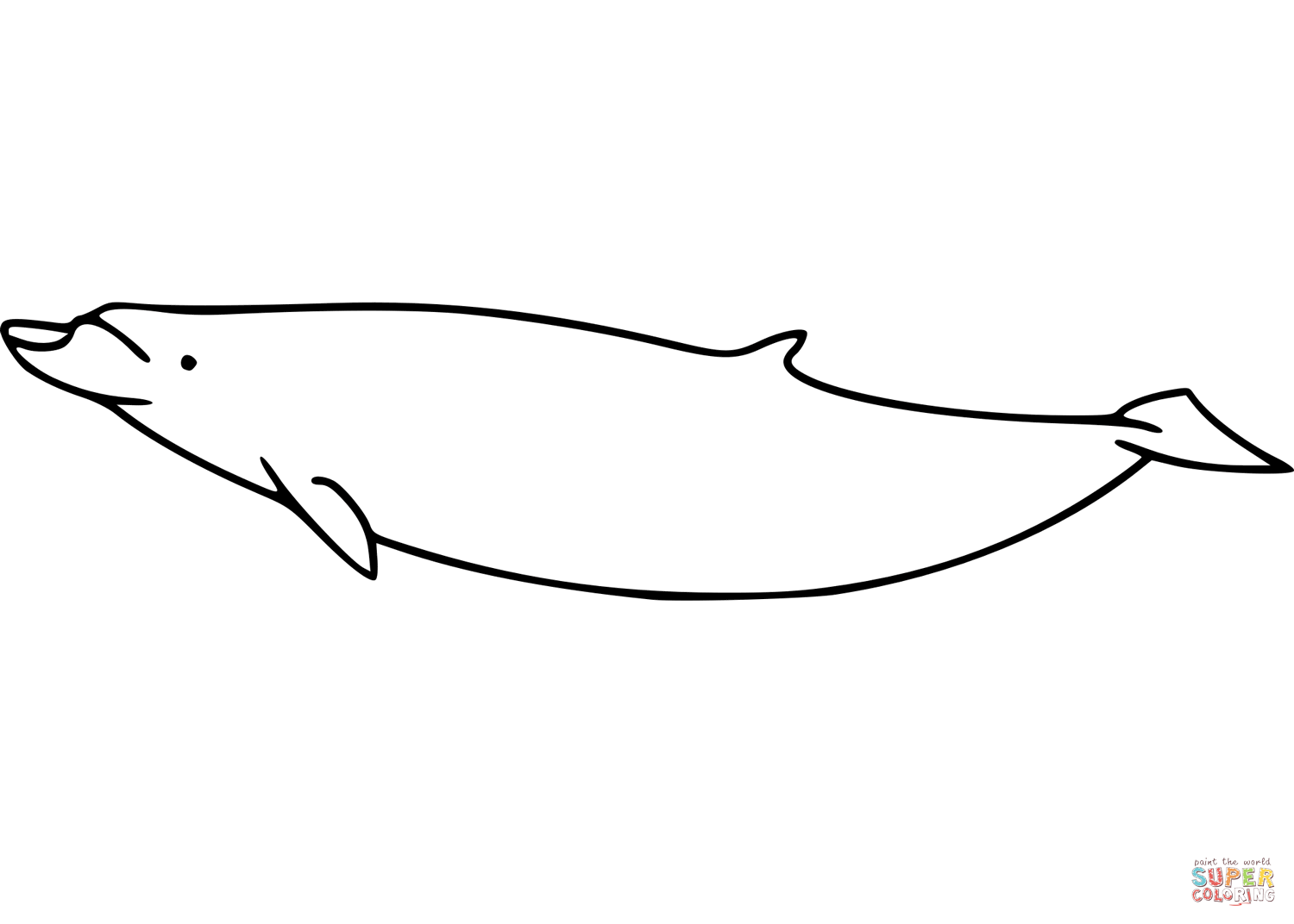 Blainvilles beaked whale coloring page free printable coloring pages