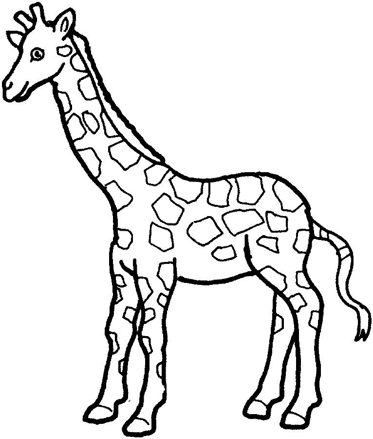 Coloring pages coloring giraffe coloring sheet