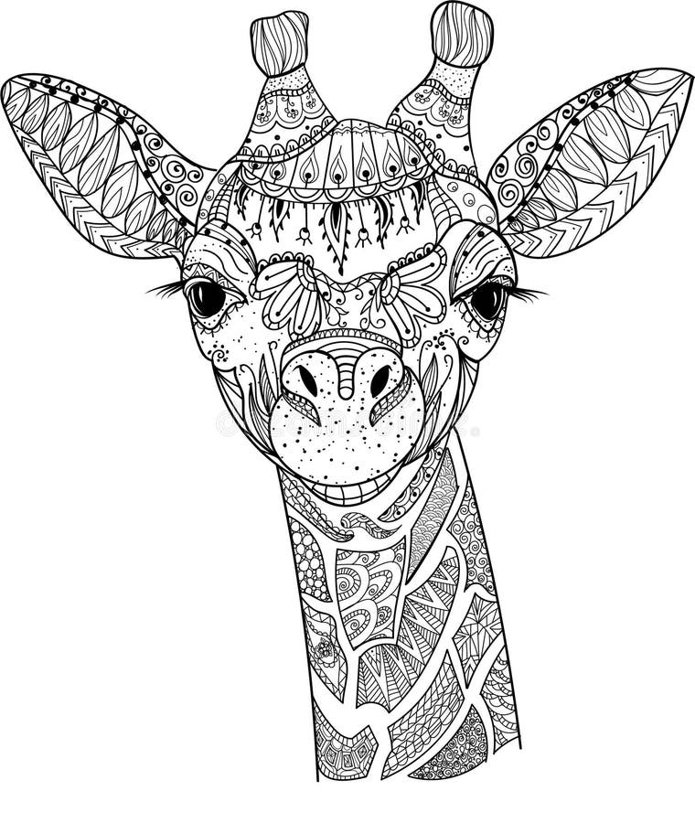 Giraffe coloring page adult stock illustrations â giraffe coloring page adult stock illustrations vectors clipart