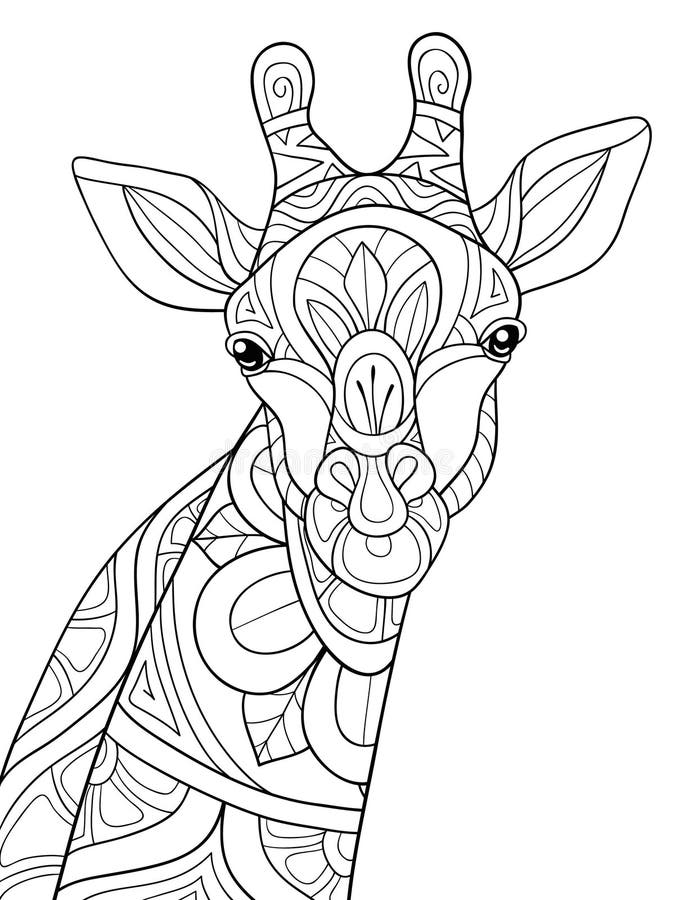 Giraffe coloring page adult stock illustrations â giraffe coloring page adult stock illustrations vectors clipart