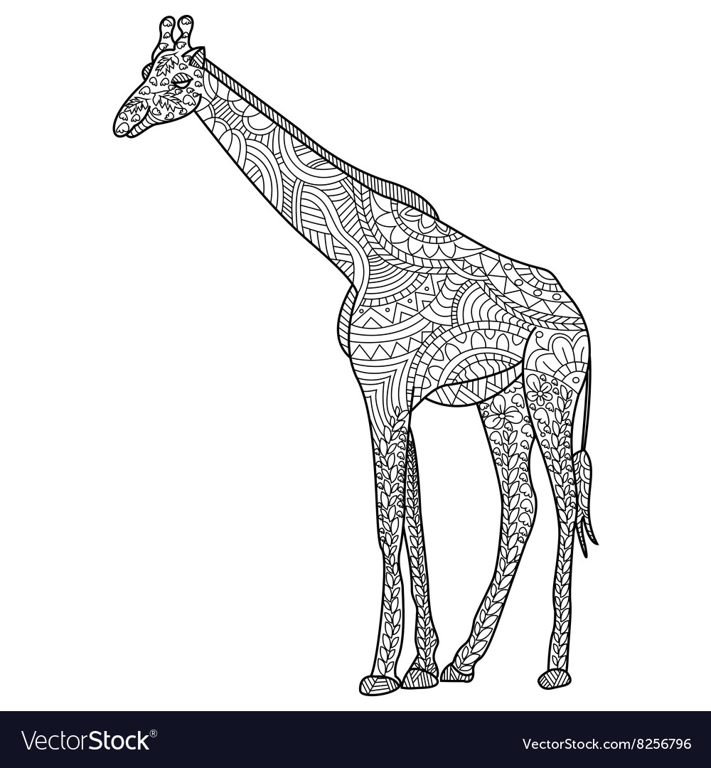 Giraffe coloring for adults royalty free vector image