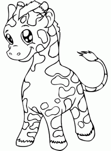 Giraffes