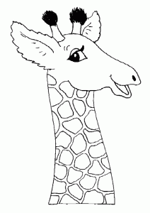 Giraffes