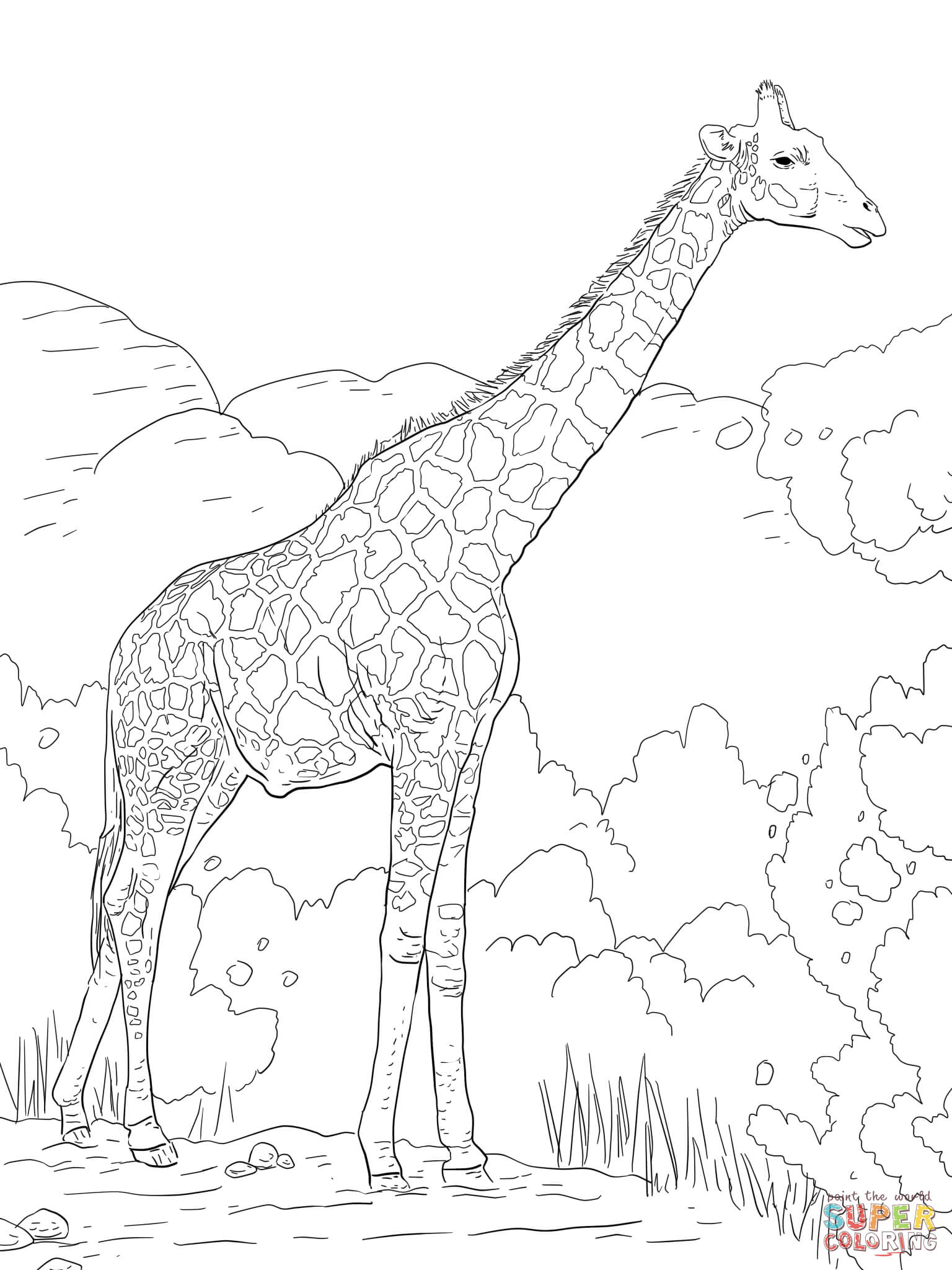 The angolan giraffe or the namibian giraffe coloring page free printable coloring pages