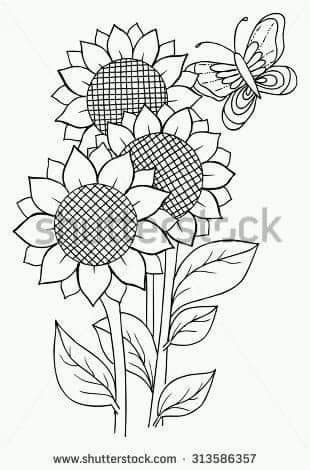 P by lidia rosa benavente avendaão on moldes y dibujo sunflower drawg flower art drawg sunflower colorg pages