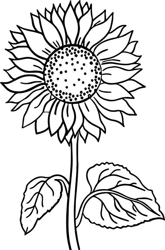 Girasol by wmcs flores para lorir girasol desenho desenhos para pintar adultos
