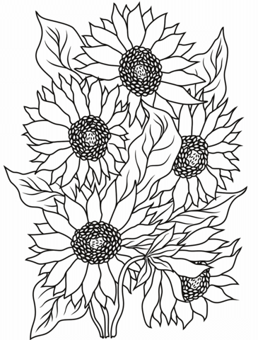 Dibujo de girasol para colorear dibujos para colorear imprimir gratis