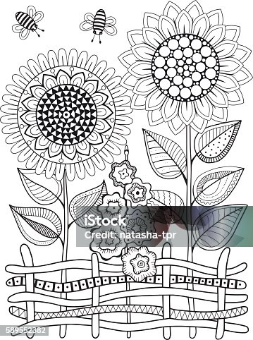 Vector coloring page sunflowers stock illustrations royalty