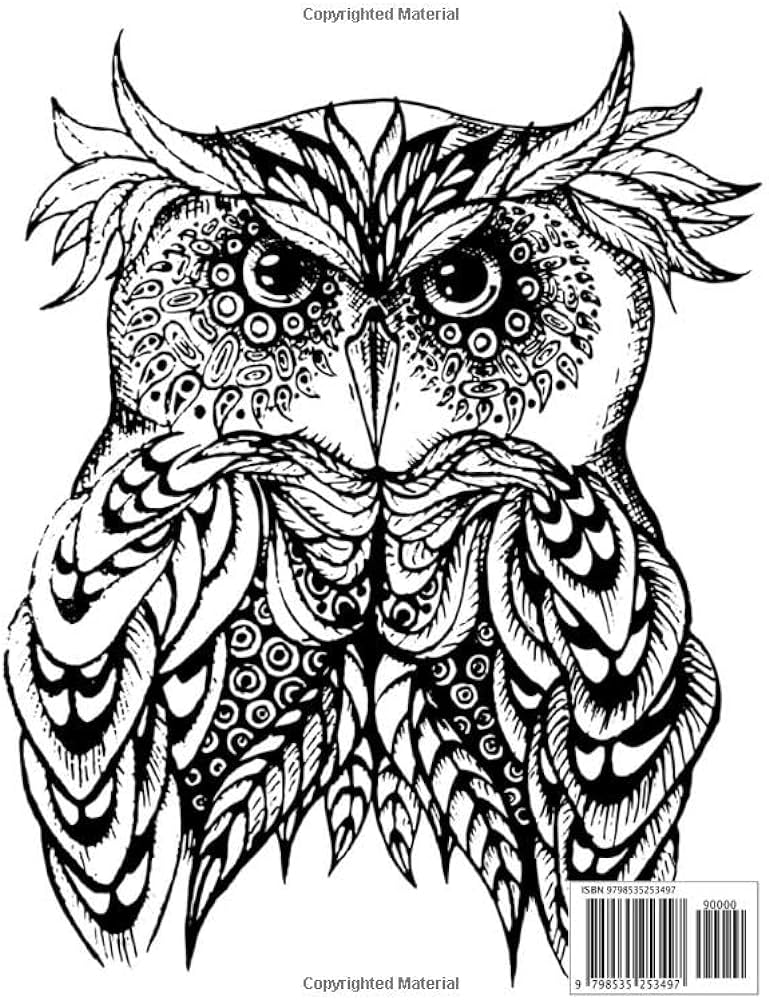 Owl coloring book cute owl designs to color for girls boys and kids of all ages beautiful owl illustrations owl designs book seibert justin books