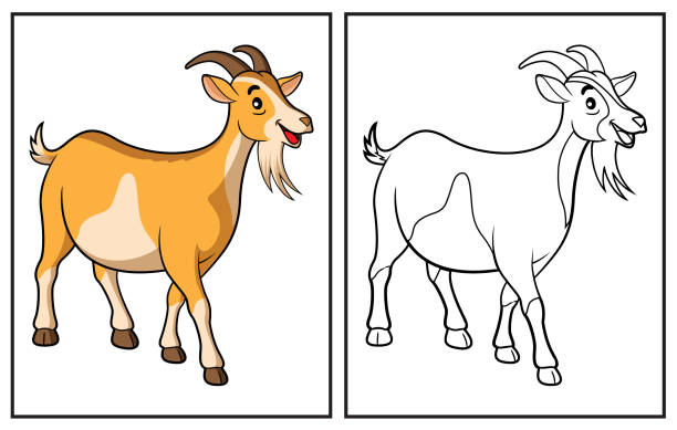 Coloring book cute goat stock illustration