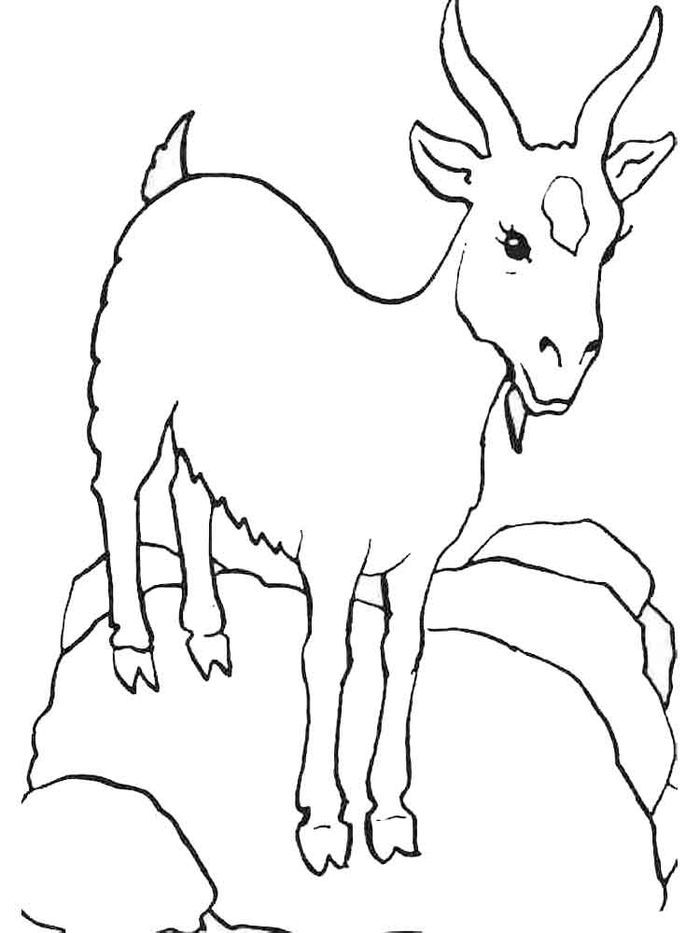 Dairy goat coloring pages animal coloring pages animal drawings coloring pages