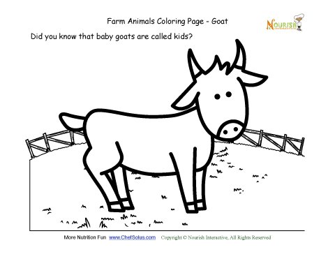 Farm animals coloring and fun fact page