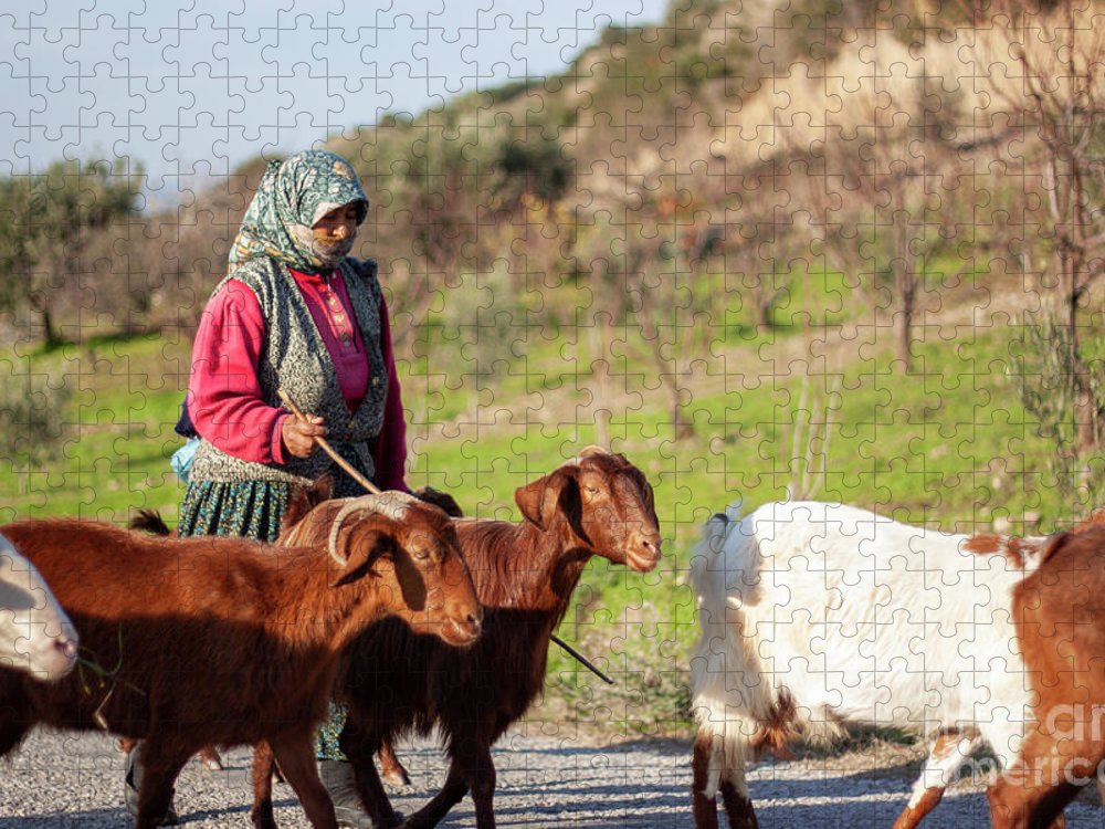 A goatherd woman wearing a vest and floral hijab jigsaw puzzle by munir akkaya