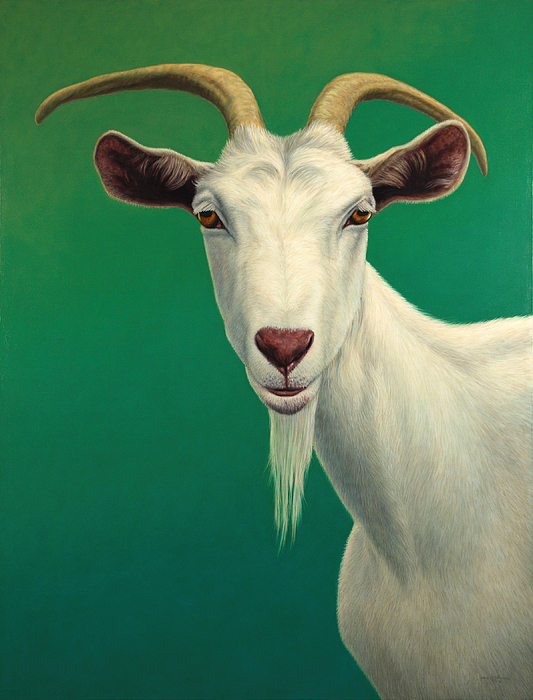 Portrait of a goat jigsaw puzzle by james w johnson