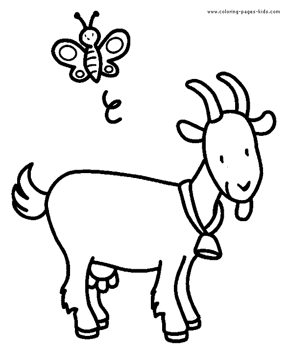 Goat and a butterfly