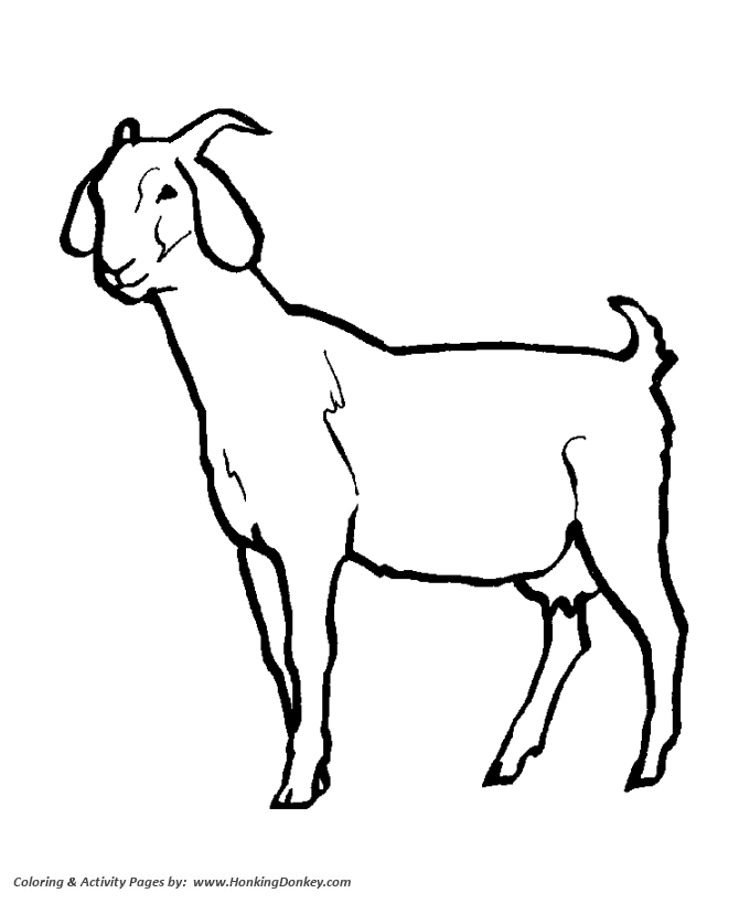 Female goat coloring pages goat coloring page and kids activity sheet