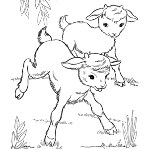 Goat coloring pages printable for free download