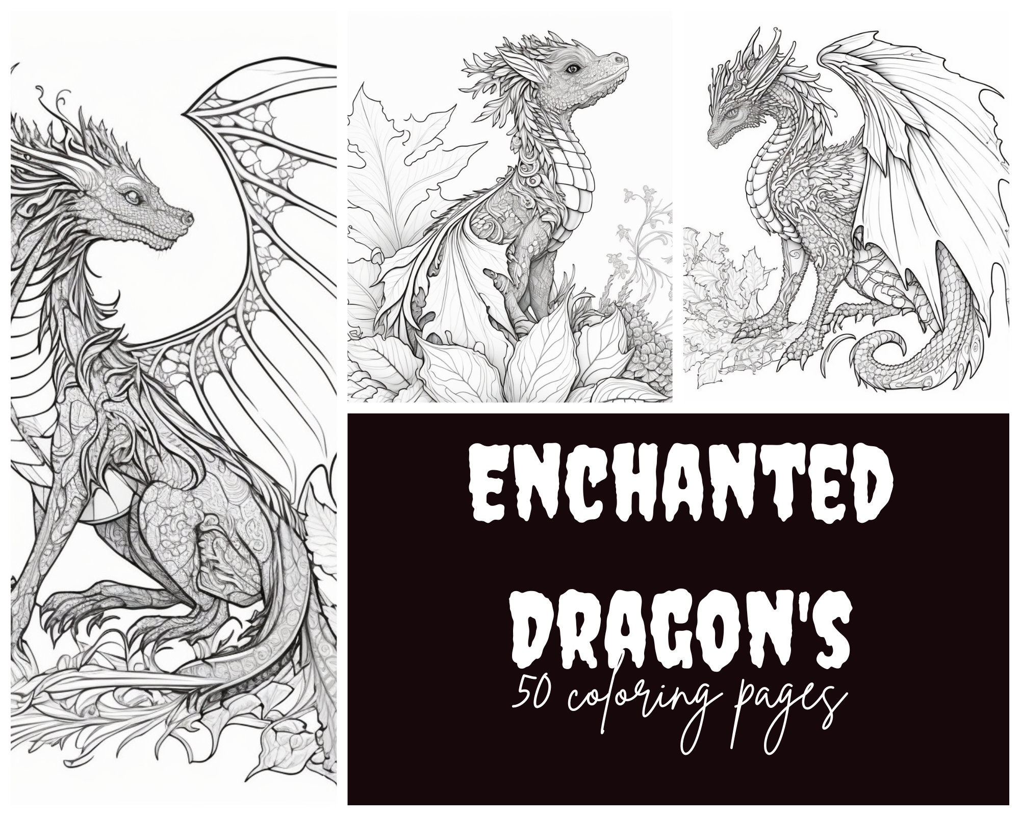 Enchanted dragon realms a fantasy coloring book for adults