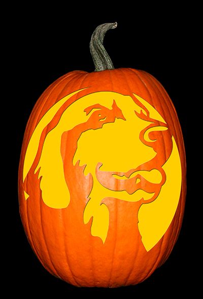 Golden retriever pumpkin carving dog pumpkin halloween pumpkin stencils
