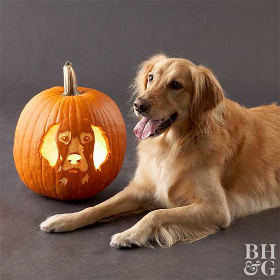 Free fun and easy dog pumpkin carving stencils