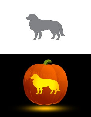 Free pumpkin stencils page