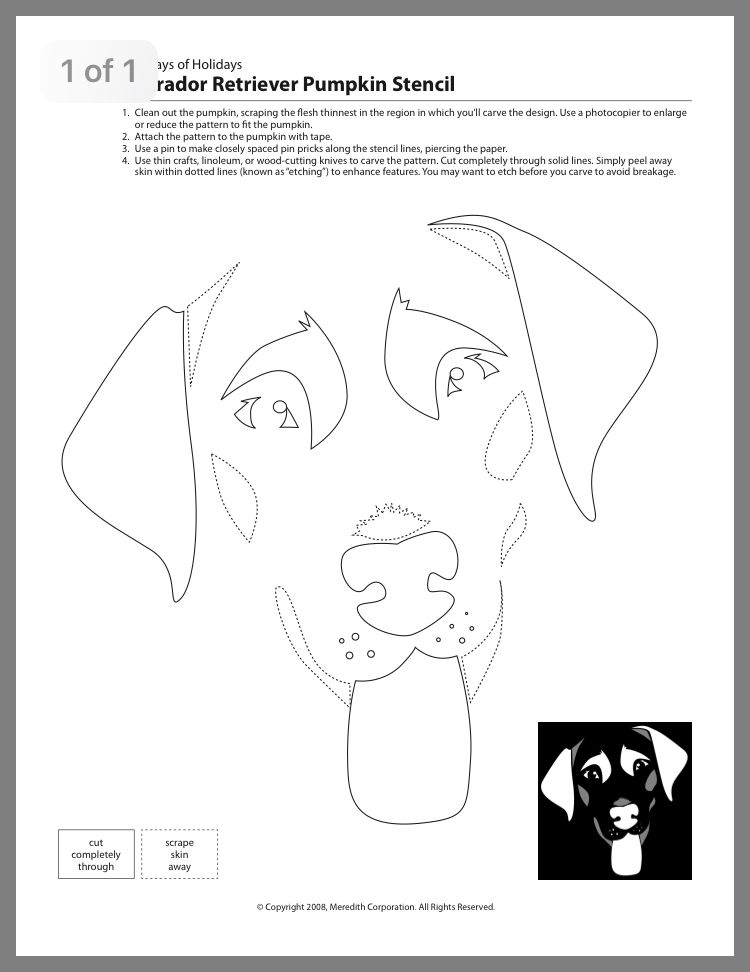 Pin by sugarlane designs on appliquã dog stencil halloween stencils pumpkin carvings stencils