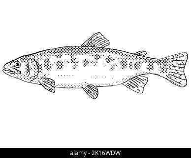 California golden trout hi
