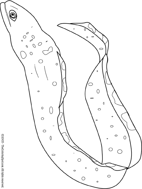 Moray eel coloring page audio stories for kids free coloring pages colouring printables