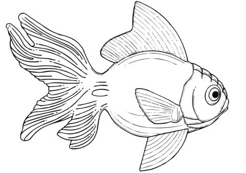 Goldfish coloring page free printable coloring pages
