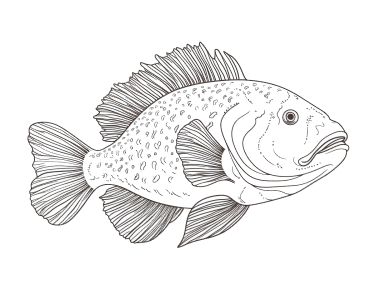 Printable grouper pages for kids
