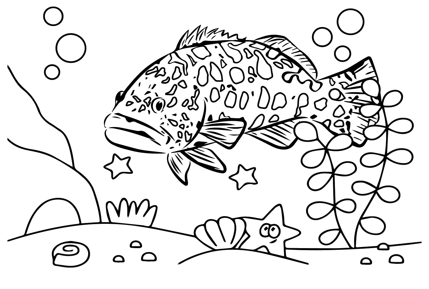 Grouper coloring pages