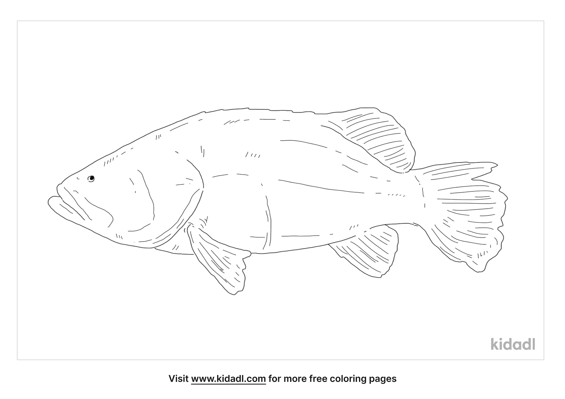 Free giant grouper coloring page coloring page printables