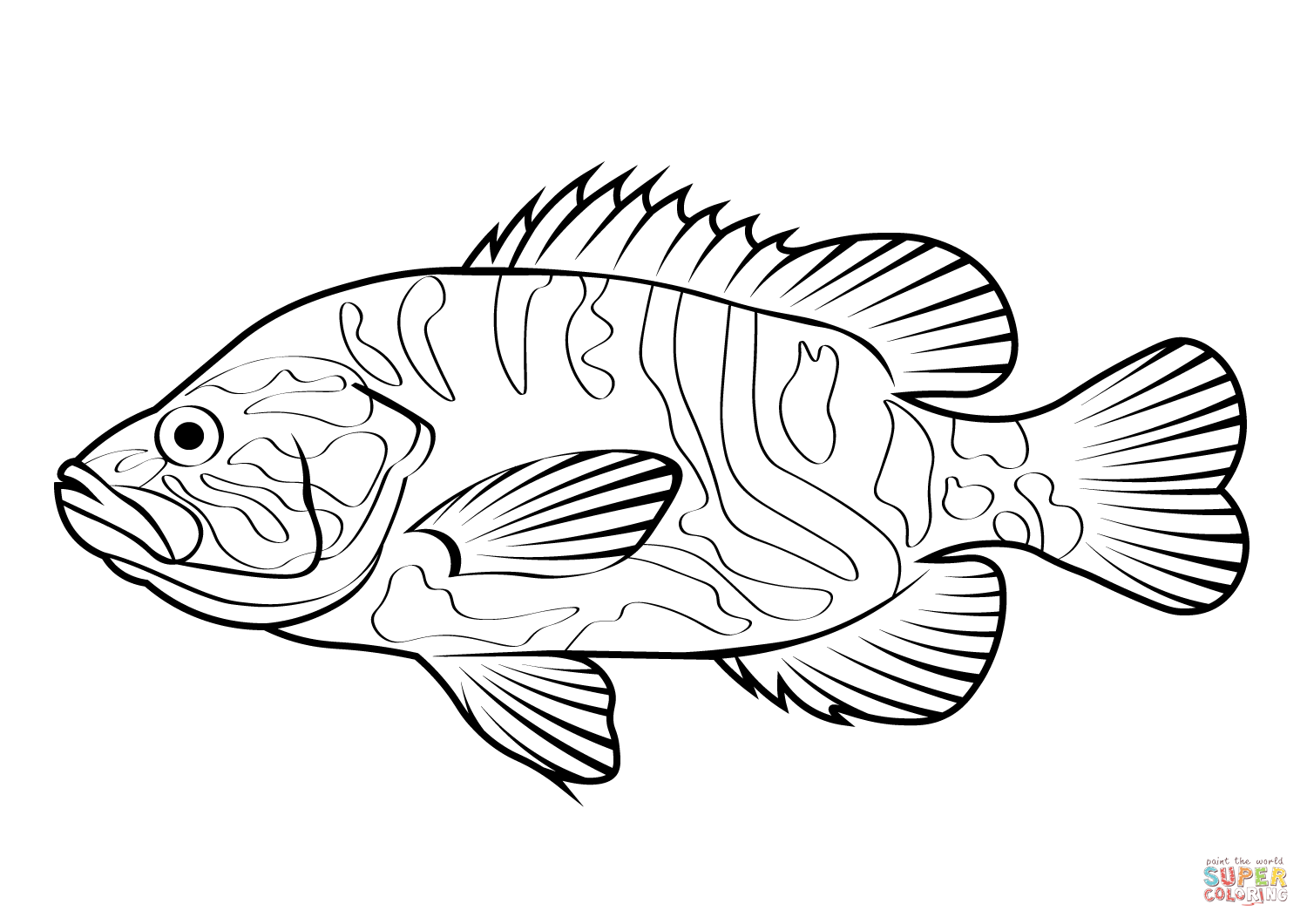 Warmouth lepomis gulosus coloring page free printable coloring pages