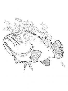Giant grouper coloring page super coloring animal coloring pages coloring pages grouper