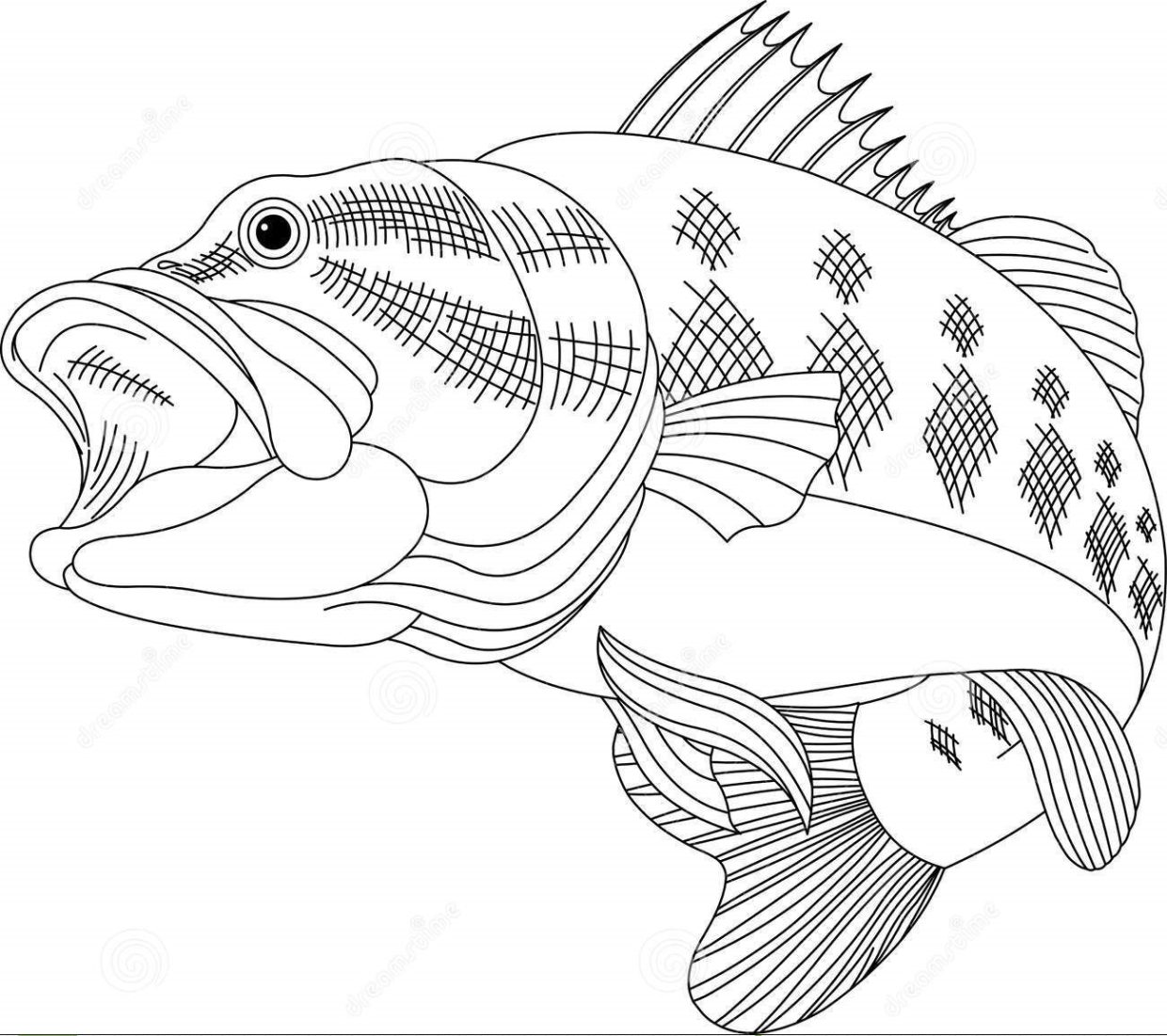 Free printable bass fish coloring pages for kids
