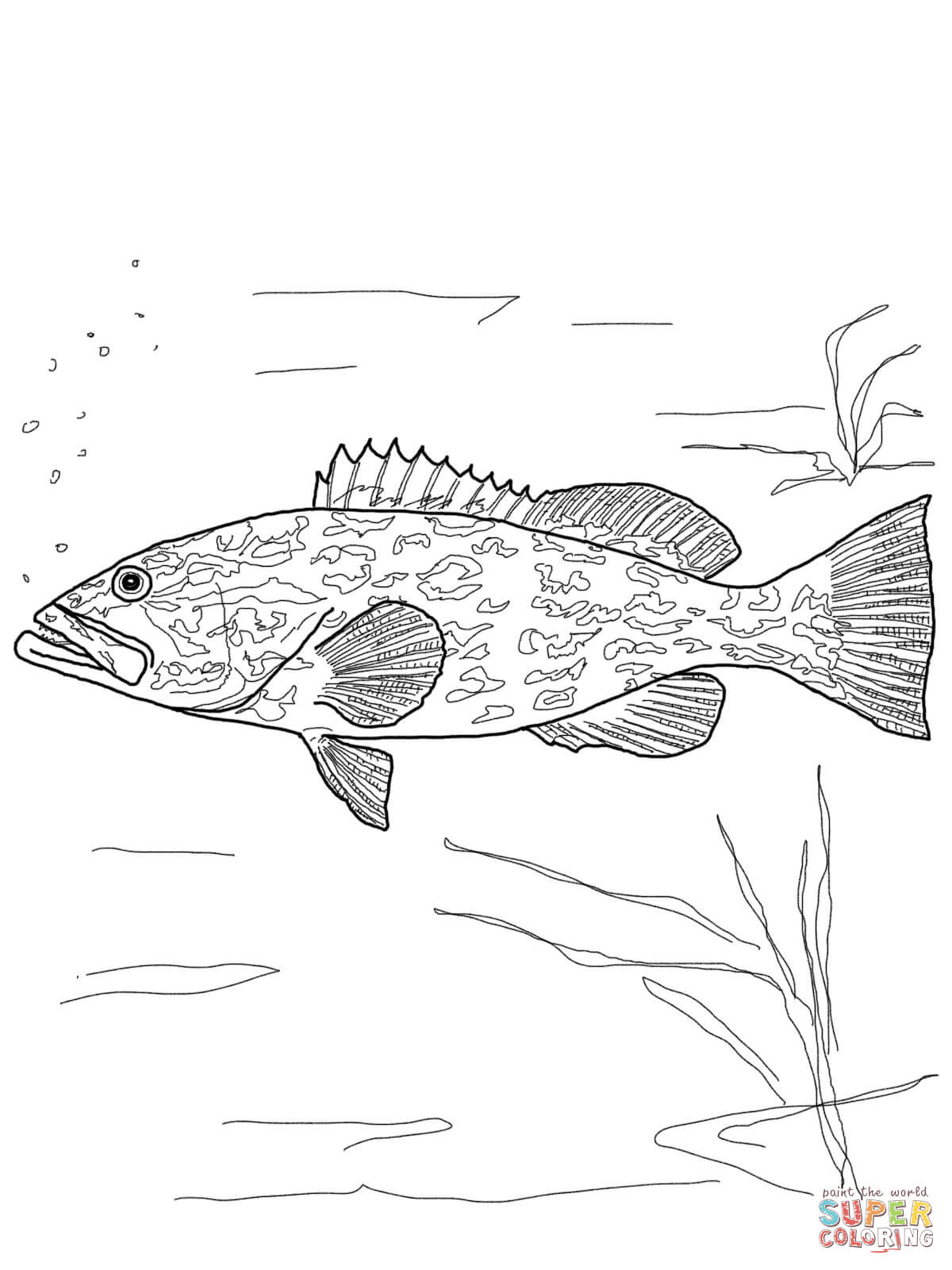 Gag grouper coloring page free printable coloring pages