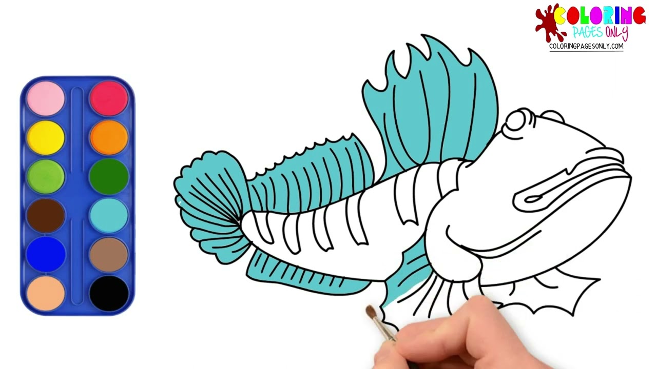 How to draw and paint a mudskipper