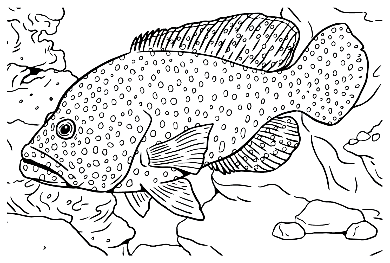 Free grouper coloring page