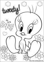 Tweety coloring pages on coloring