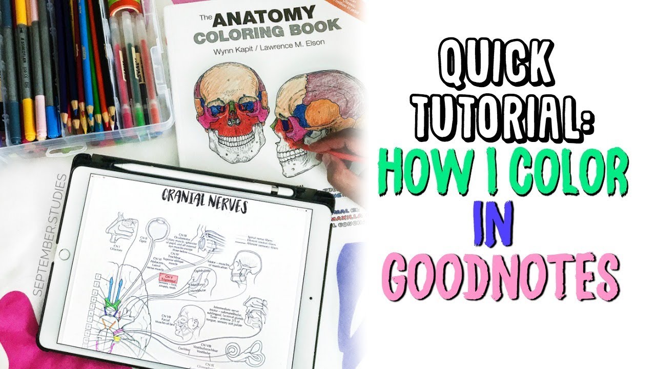 Â how i color in goodnotes quick tutorial on ipad pro september studies