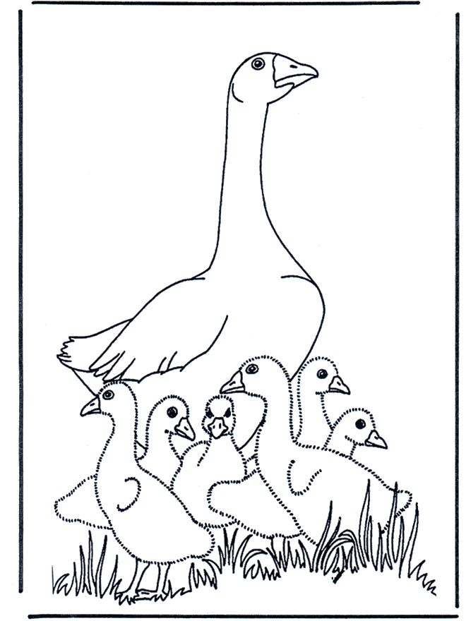 Oie coloriage animal coloring pages bird coloring pages coloring pages